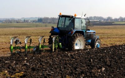 Zabiegi agrotechniczne poprawiające strukturę gleby przed zimą