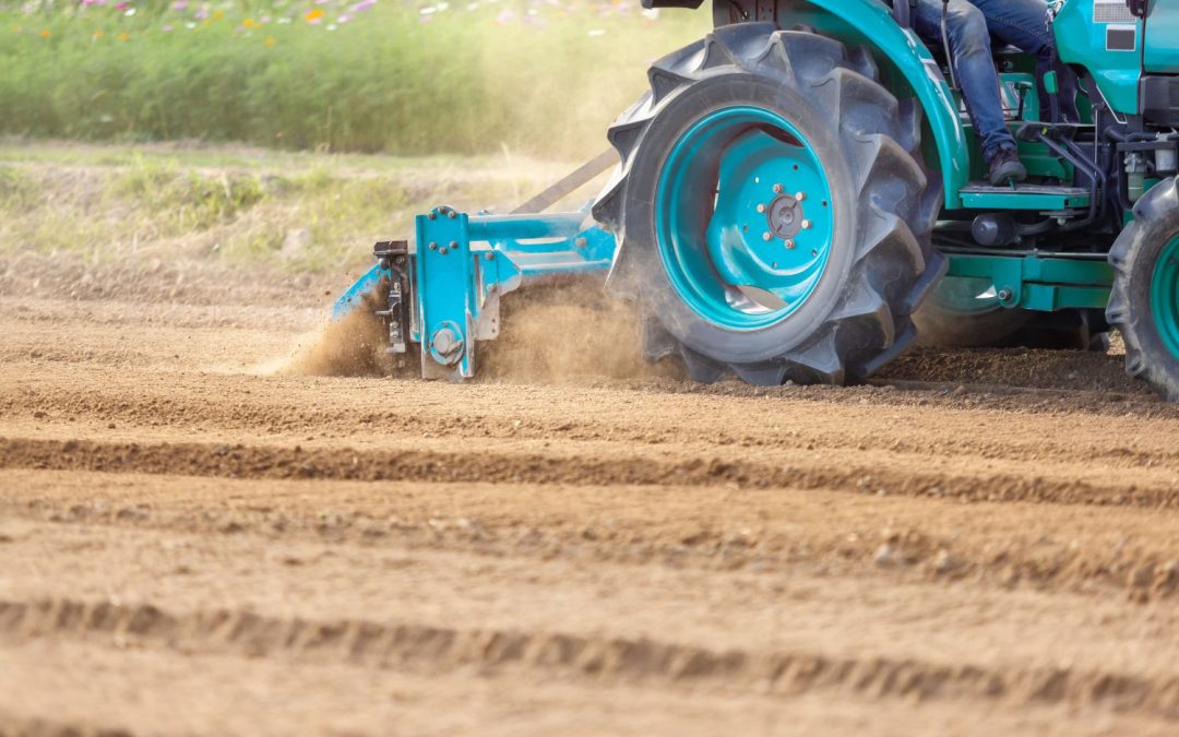 Glebogryzarka wirnikowa vs. separacyjna – którą wybrać?