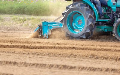 Glebogryzarka wirnikowa vs. separacyjna – którą wybrać?