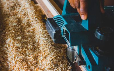 Gniotownik czy śrutownik – co wybrać do przygotowania paszy?