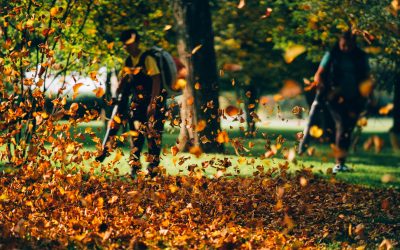 Zamiatarki i ssawy do liści i czyszczenia pól – zastosowania, ograniczenia, dobór