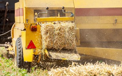 Rozdrabniacze słomy i sieczkarnie polowe – jak działają, jakie parametry są kluczowe