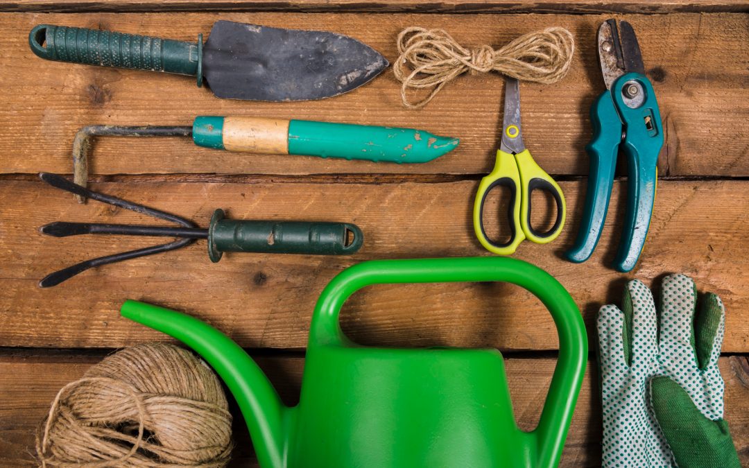 Top 10 narzędzi do sezonowych prac na polu wiosną i jesienią