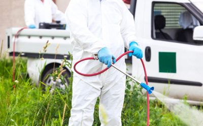 Dlaczego warto inwestować w profesjonalne opryskiwacze? Porównanie modeli i ich zastosowań